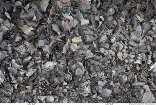 Photo Textures of Nature Mixed